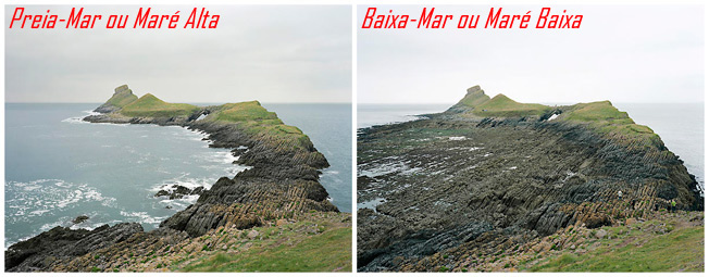 Minhoca de Praia: Dicas: Tábua das Marés