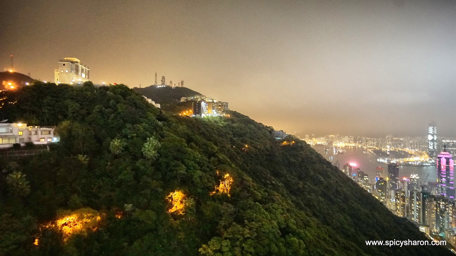 The Peak Victoria Peak Hong Kong