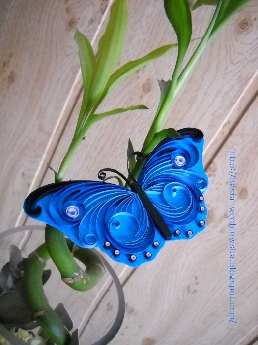 Beautiful Butterfly Paper Quilling Designs Creative Art & Craft Work