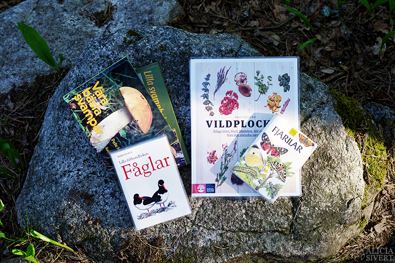 11 saker jag alltid tar med mig ut i skogen - lista av Alicia Sivertsson, scout i 20 år. skog skogen utflykt promenad hajk gå ut i naturen natur scout scouting dagsutflykt utflykt utan övernattning packa packning verktyg redskap vad ska man ha med sig förberedelse förbereda sig ryggsäck vandra vandring scouting