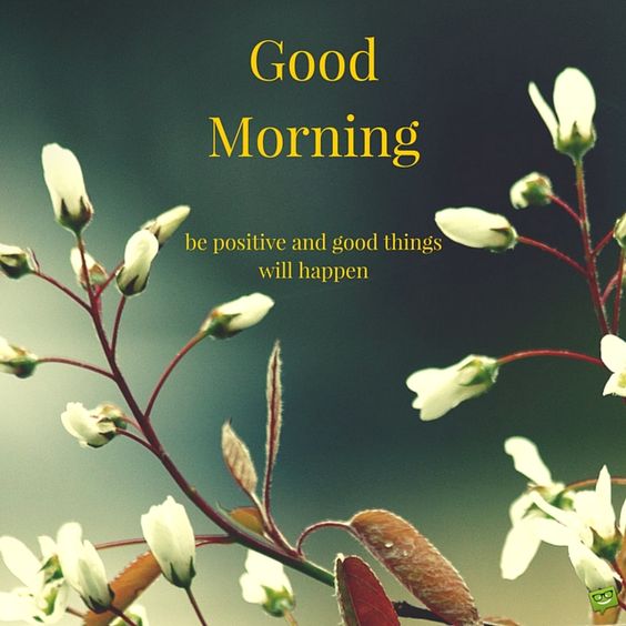 images for good morning 30 free download new 2017
