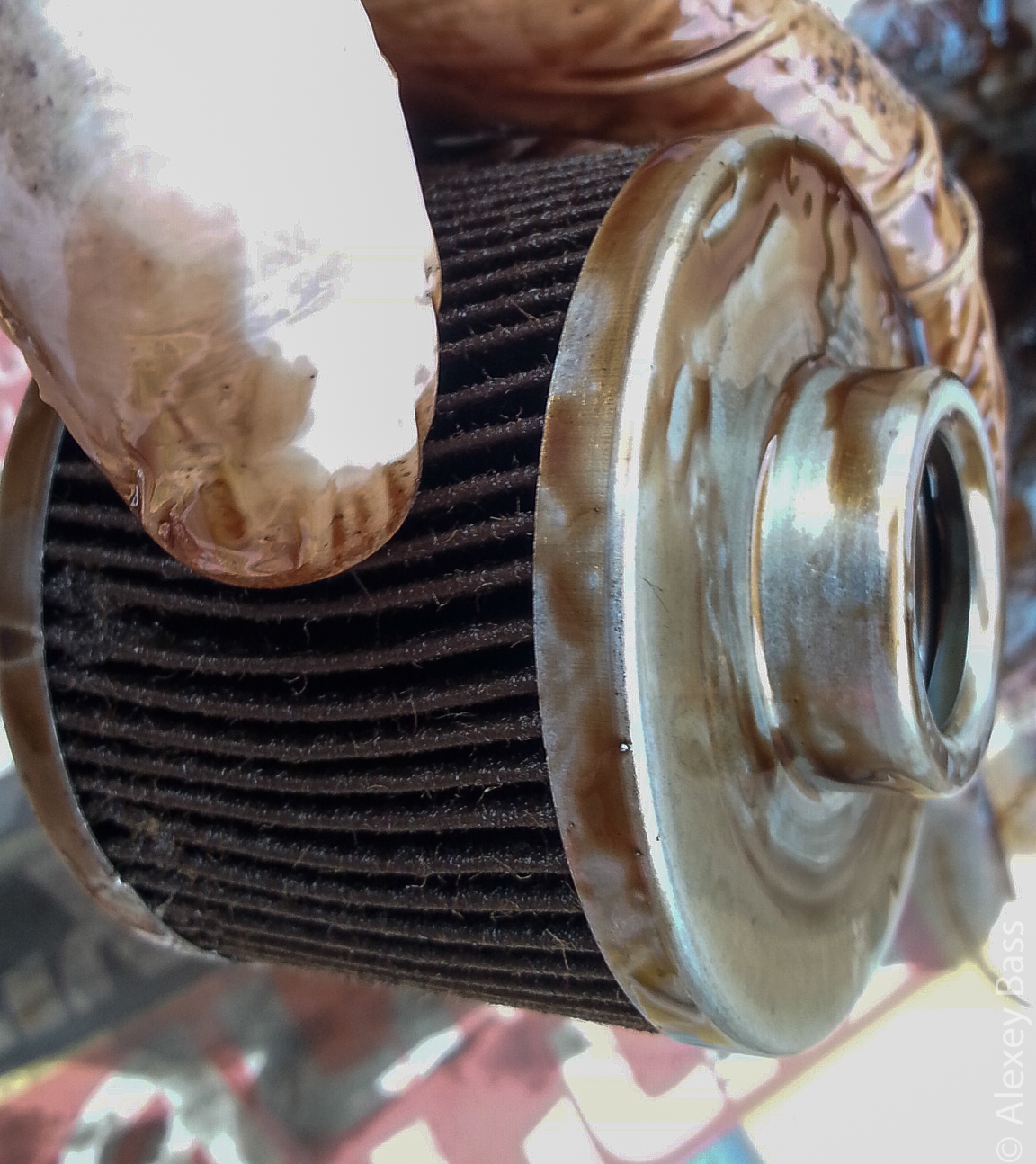 Skoda Fabia in Israel: Inside oil filter