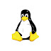 Linux/Unix - Use Specific Network Interface or Source IP Address To Ping A Destination Host