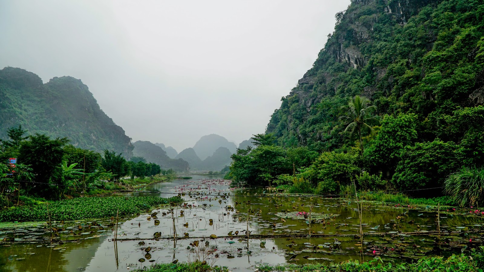 Standing on the bridge to Hoa Lu and looking out at the countryside in the distance