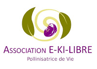 Association E-KI-LIBRE