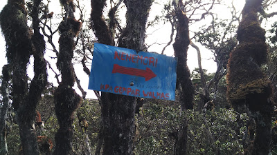 Pendakian Gunung Latimojong Sulawesi Selatan Pendakian Gunung Latimojong Sulawesi Selatan