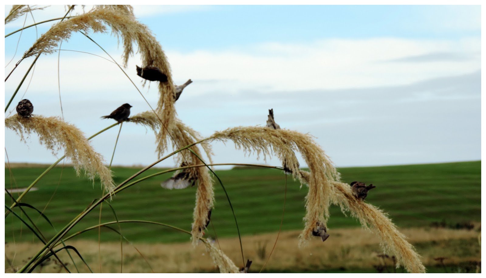The Glebe Blog: Weekend Memories - August 2013