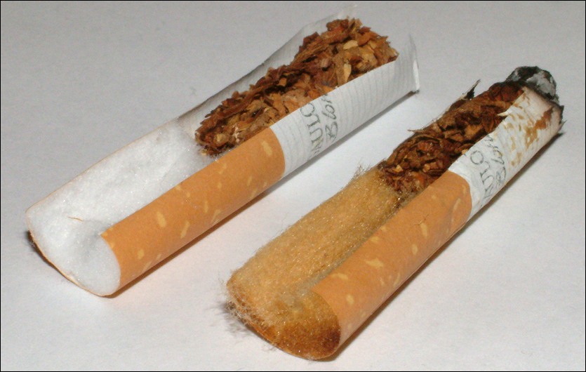 Components of a cigarette and its smoking effects