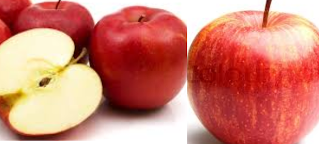Apple meaning in tamil, telugu, marathi, kannada, malayalam, in hindi name, gujarati, in marathi, indian name, tamil, english, other names called as, translation Apple meaning in tamil, telugu, marathi, kannada, malayalam, in hindi name, gujarati, in marathi, indian name, tamil, english, other names called as, translation