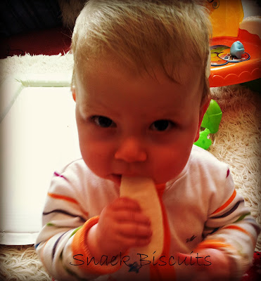 mum mums, baby snack, weaning, 9 month old baby