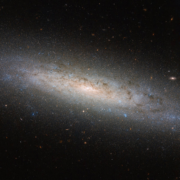 Spiral Galaxy NGC 24
