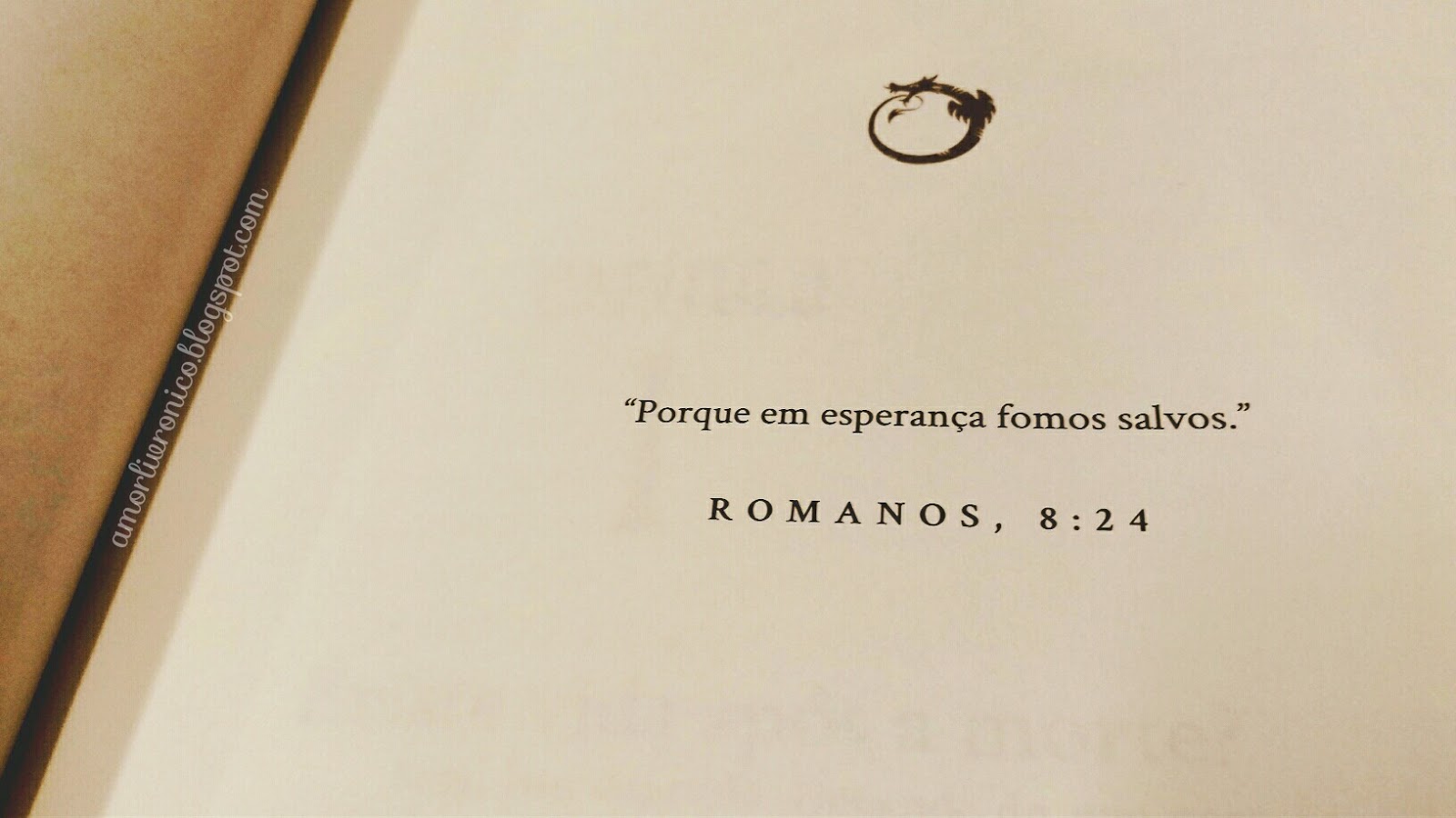 Não Olhe! Não Olhe!, FML Pepper, livros editora valentina