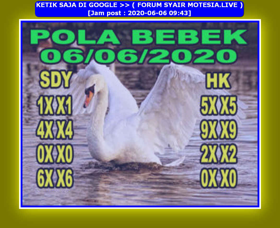 forum syair hk Meloditogel