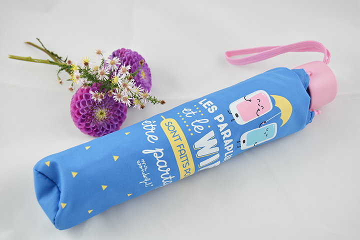 parapluie bleu Mr Wonderful