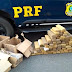 POLÍCIA APREENDE MAIS DE 120 KG DE MACONHA EM ÔNIBUS NA BR-116