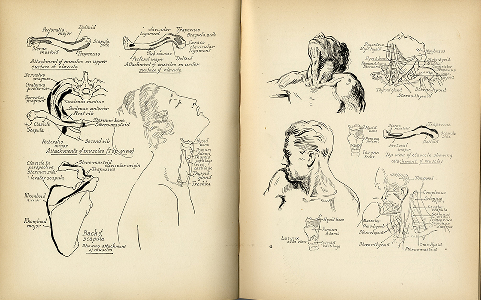 drawing hands victor perard pdf cargovanratepermile