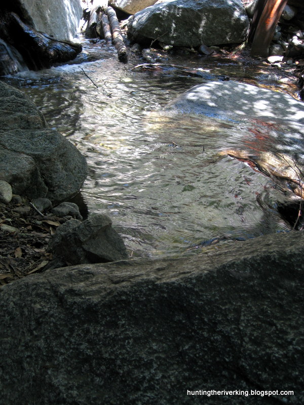 San Bernardino National Forest Rainbow Trout Creek Fishing Hunting