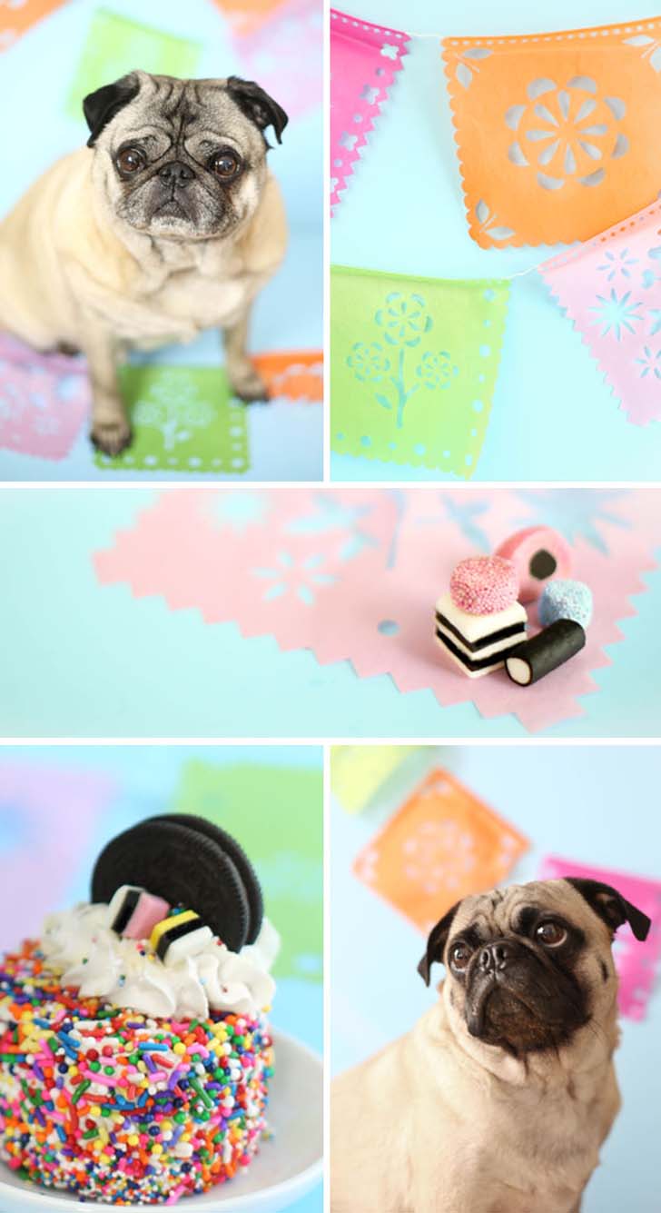 Mini Oreo Sprinkle Cakes Mini Oreo Sprinkle Cakes