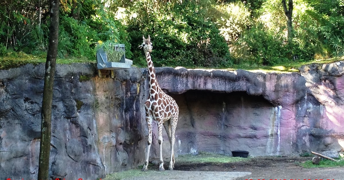 Portland Zoo Exploring My Life