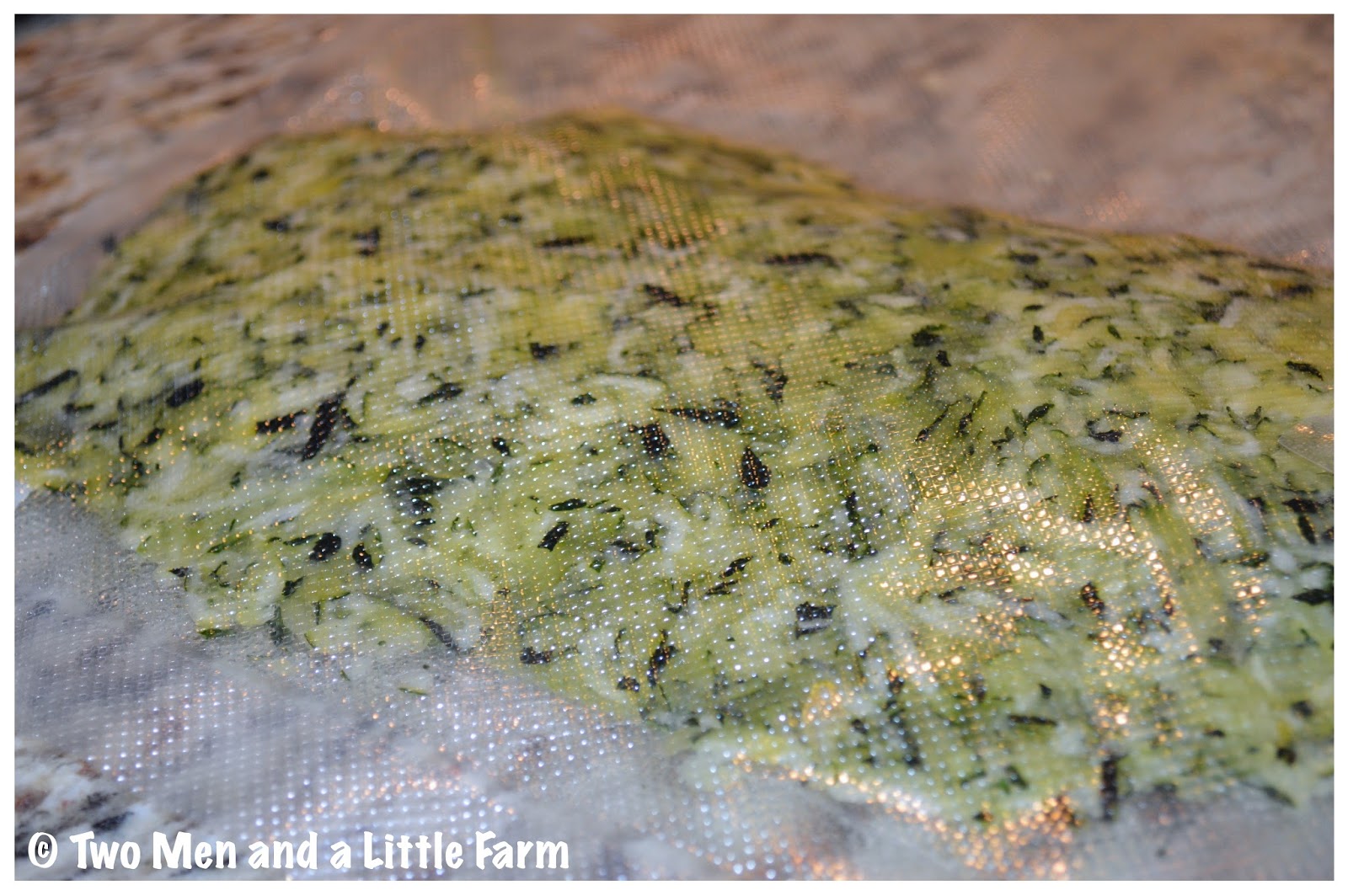 Two Men and a Little Farm HOW TO SHRED AND FREEZE ZUCCHINI FOR LATER USE