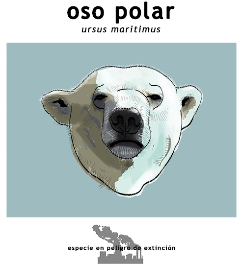 Ilustración oso polar