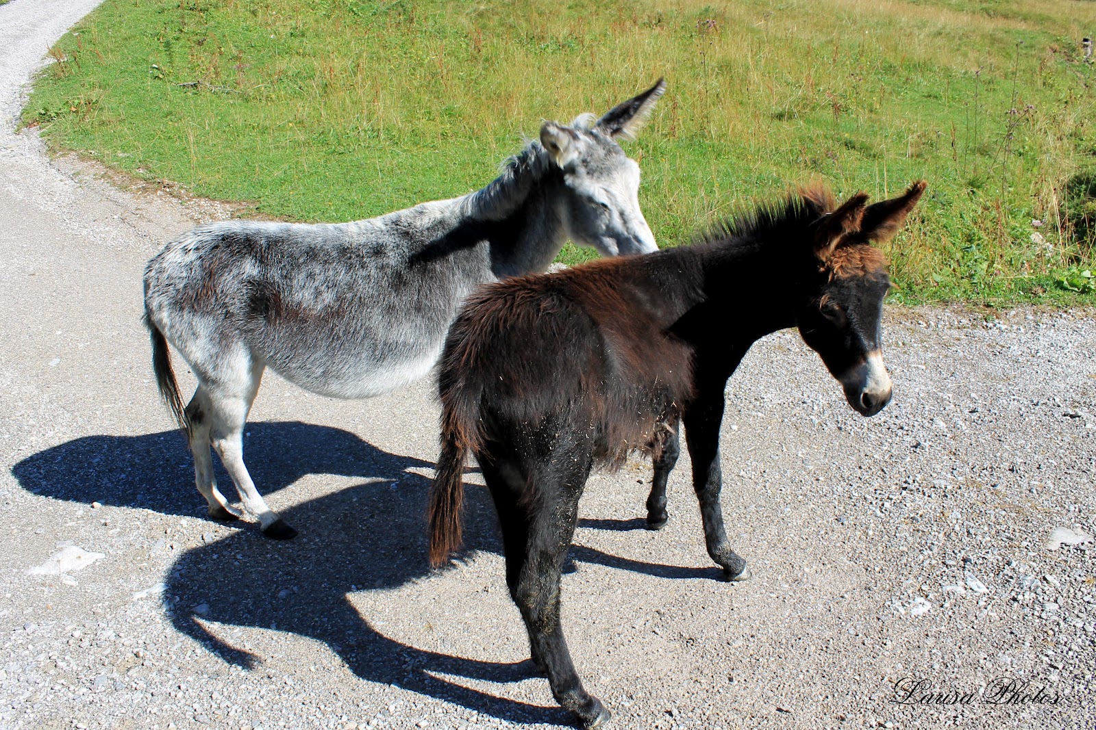 Larisa�s Beat August 2012