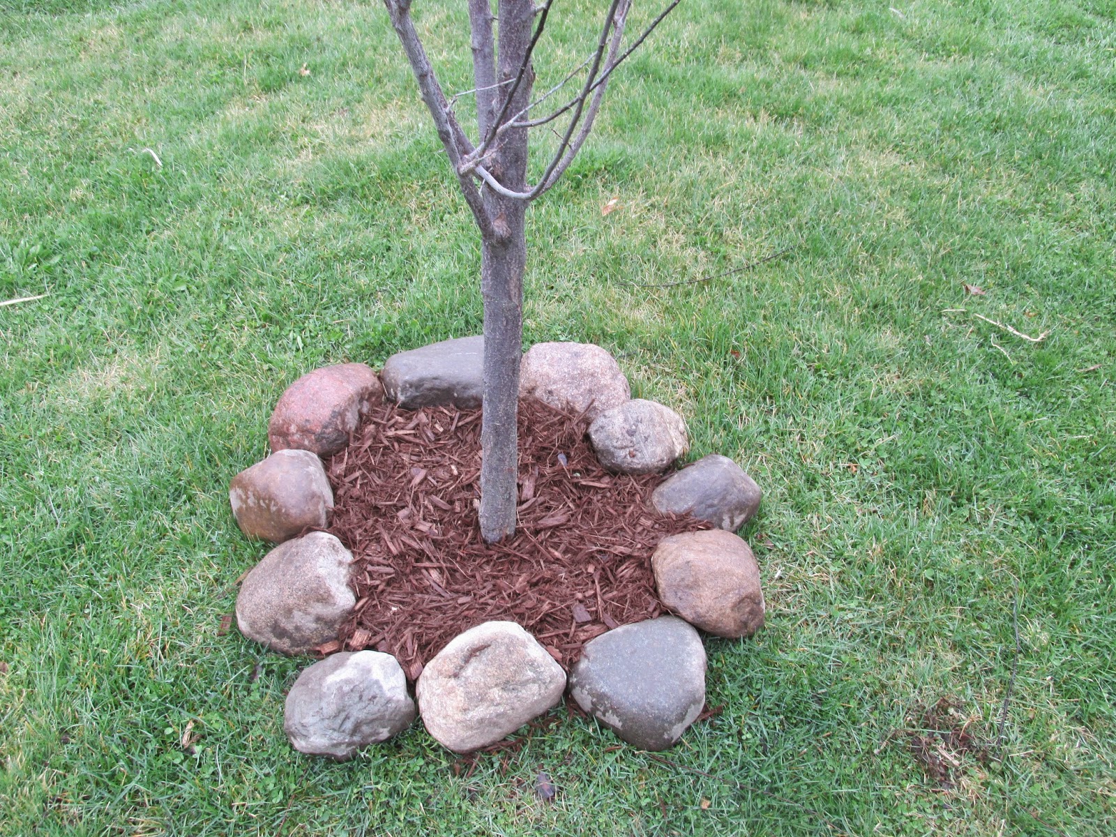 Vickie S Kitchen And Garden My Goals, Is It Okay To Put Rocks Around Trees