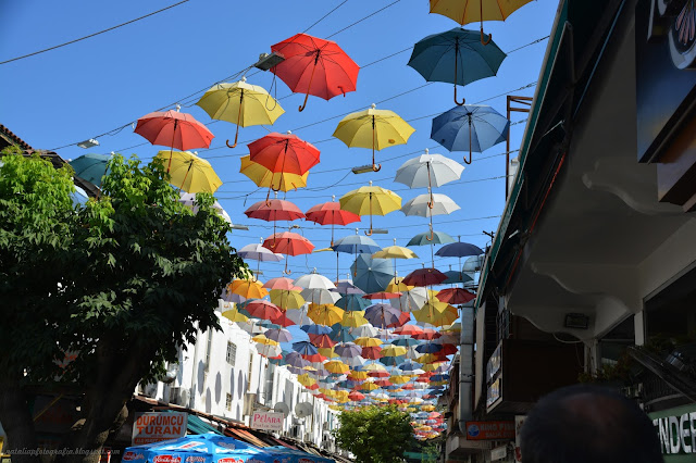 DSC_1319.JPG