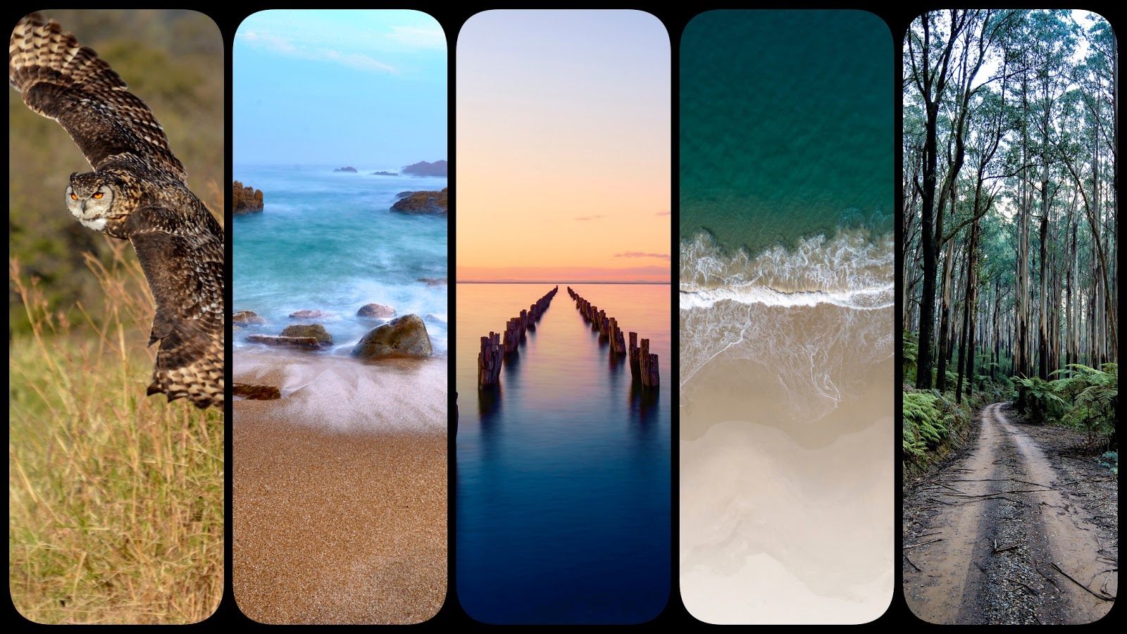 Nature phone wallpapers Nature phone wallpaper collection | HeroScreen Wallpapers