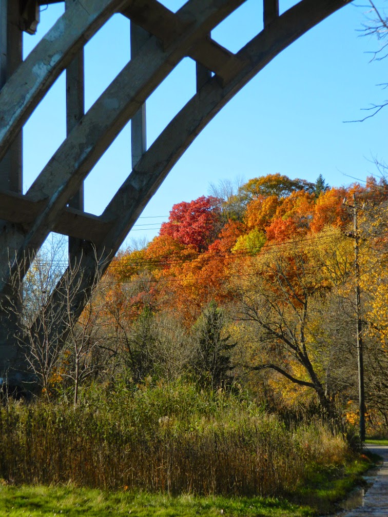 O'Connor Drive bridge Taylor Creek Park by garden muses-not another Toronto gardening blog O'Connor Drive bridge Taylor Creek Park by garden muses-not another Toronto gardening blog