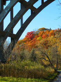 O'Connor Drive bridge Taylor Creek Park by garden muses-not another Toronto gardening blog