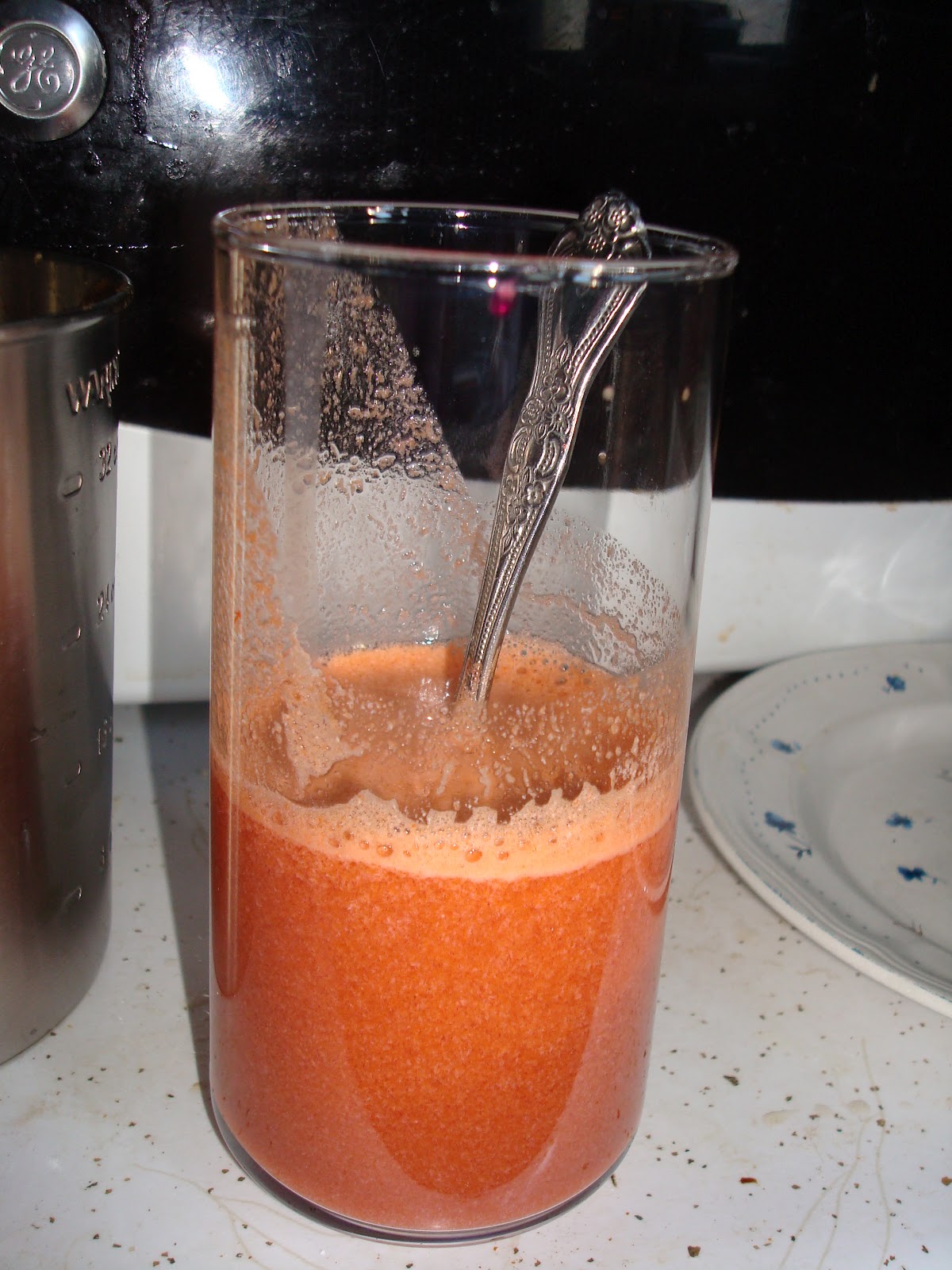The Nutrition Tradition Fermented Vegetable Juice Day 1