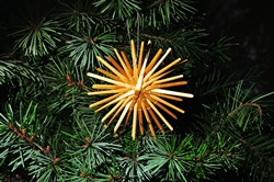 Der Dritte Advent 2017... Der Dritte Advent 2017...