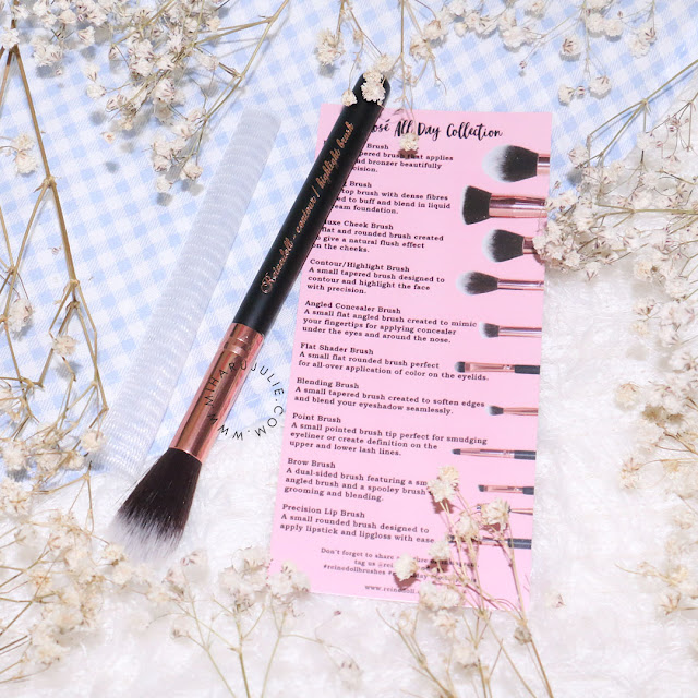 reine brush review