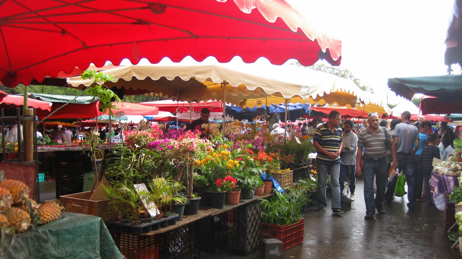 La recette nomade : Produits de la Réunion (liste non exhaustive)