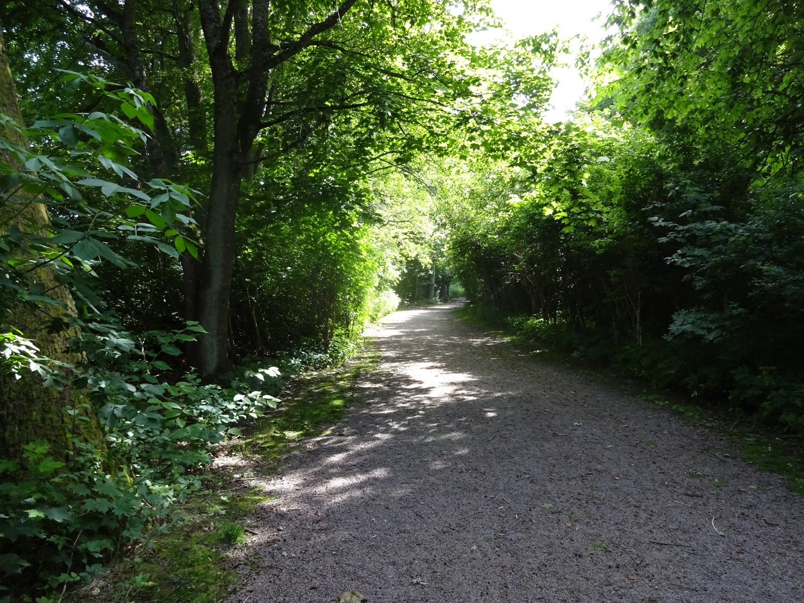 ingas-tankst-lle-fr-n-berg-till-berg