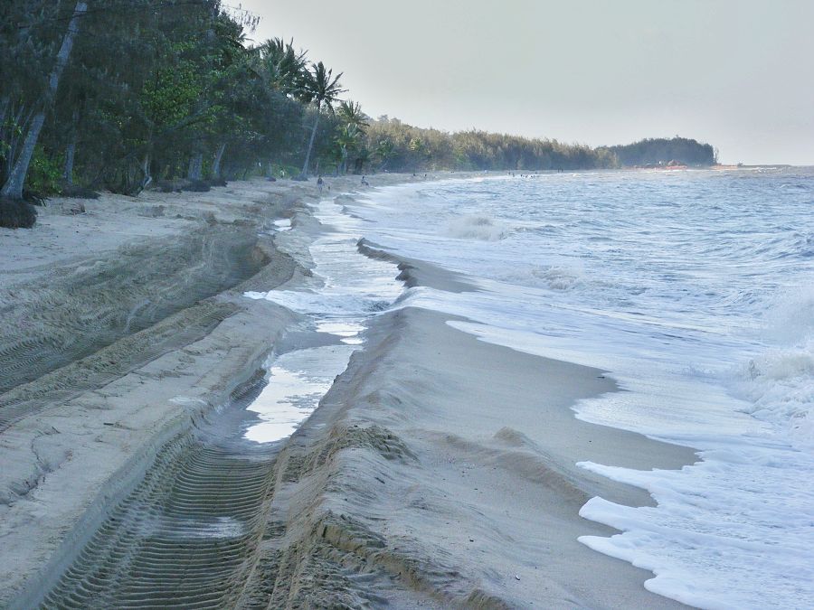 Vehicle track on beach Fighting coastal erosion