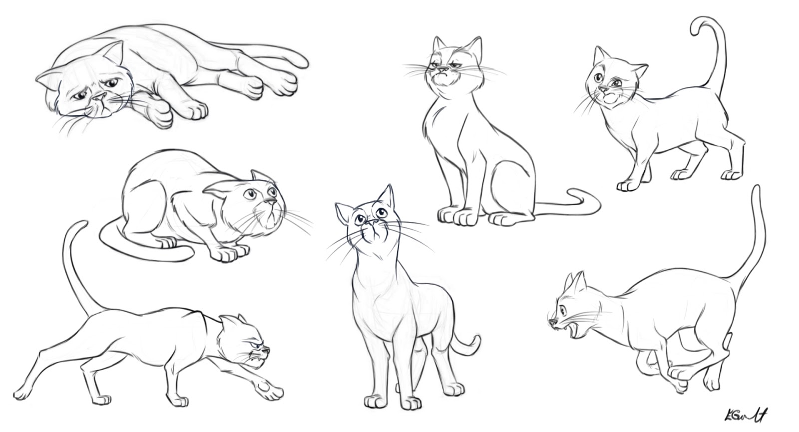 Emilie Goulet, CG Animator: Cat study