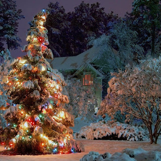 Winter Wallpaper Winter Wallpaper