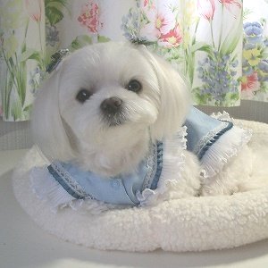 She is
                        Georgeous