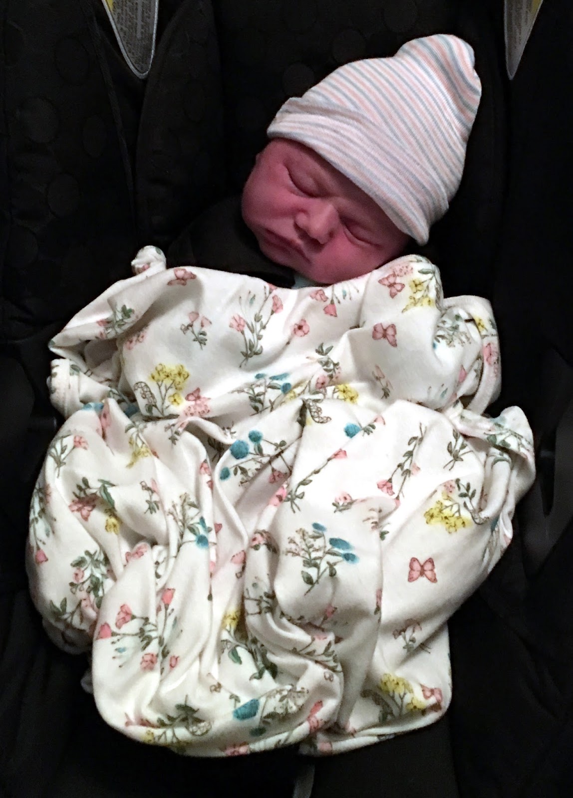 Brigham's blog: may 2016