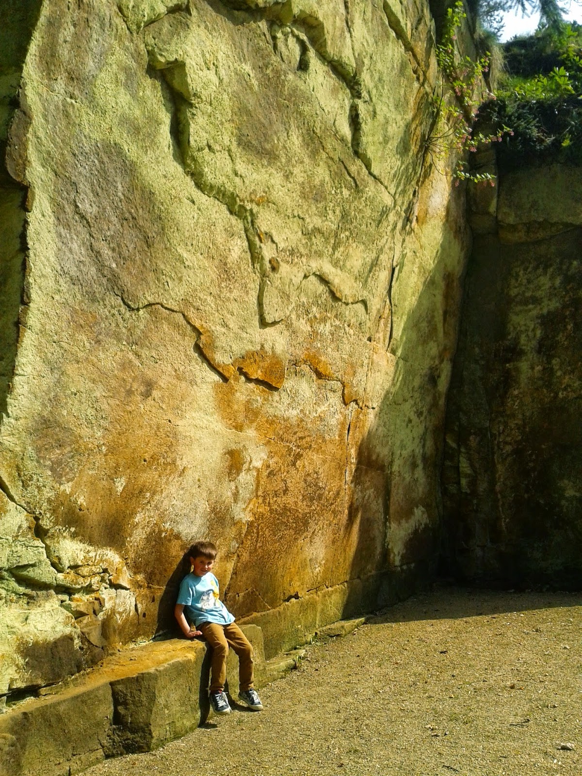 Belsay Hall, Castle and Gardens, Northumberland. Lucas relaxing in the Quarry Garden.