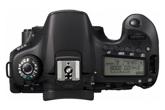 Inicialmente software Derivación Better Family Photos: Canon 60D vs 550D (and 600D): Real World Usage