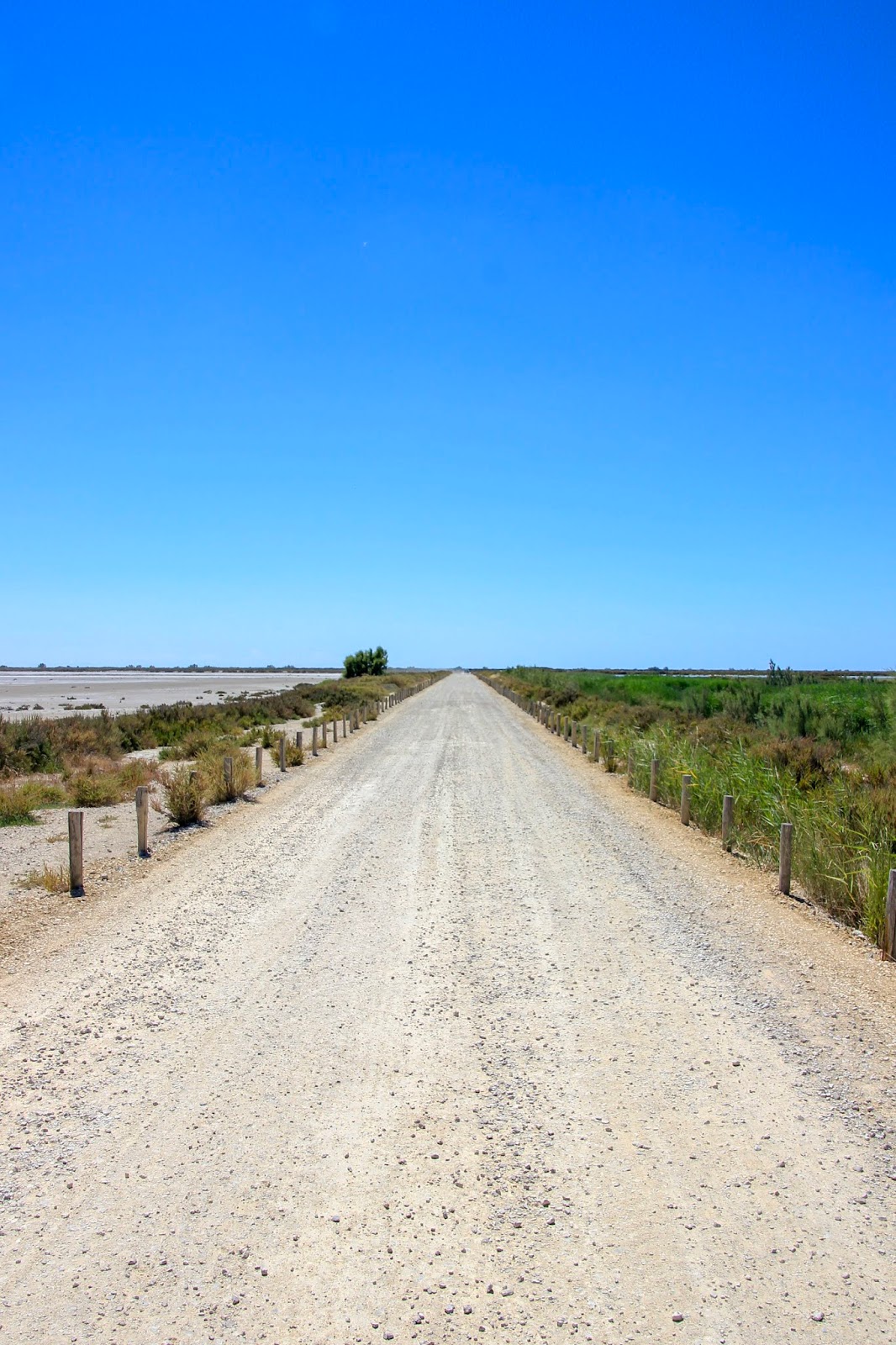 Parc National de la Camargue