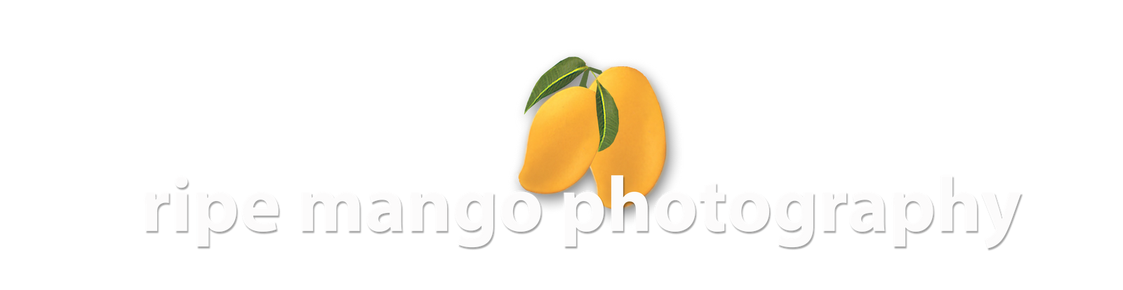 ripe mango photography