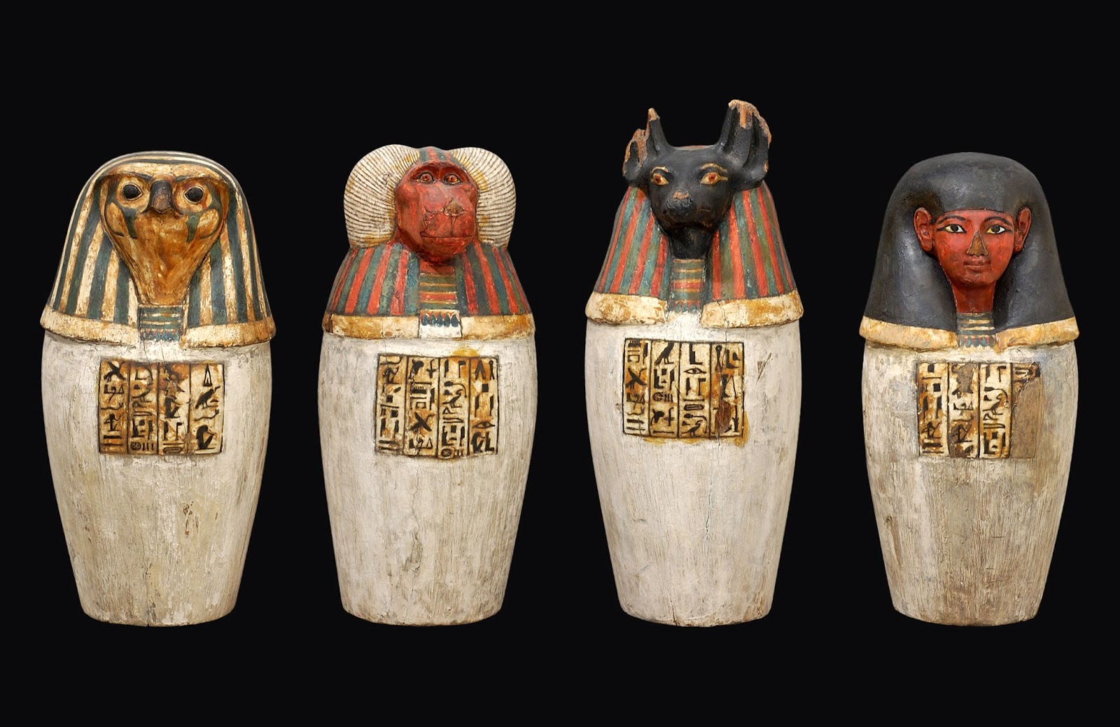 Jedena Vasos Canopos jedena-vasos-canopos