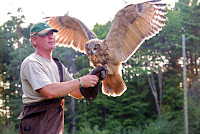 Wye marsh birds of prey show- parents canada