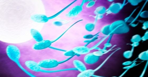 sperm alive Keeping Tyrell recommend Pissing serch enging