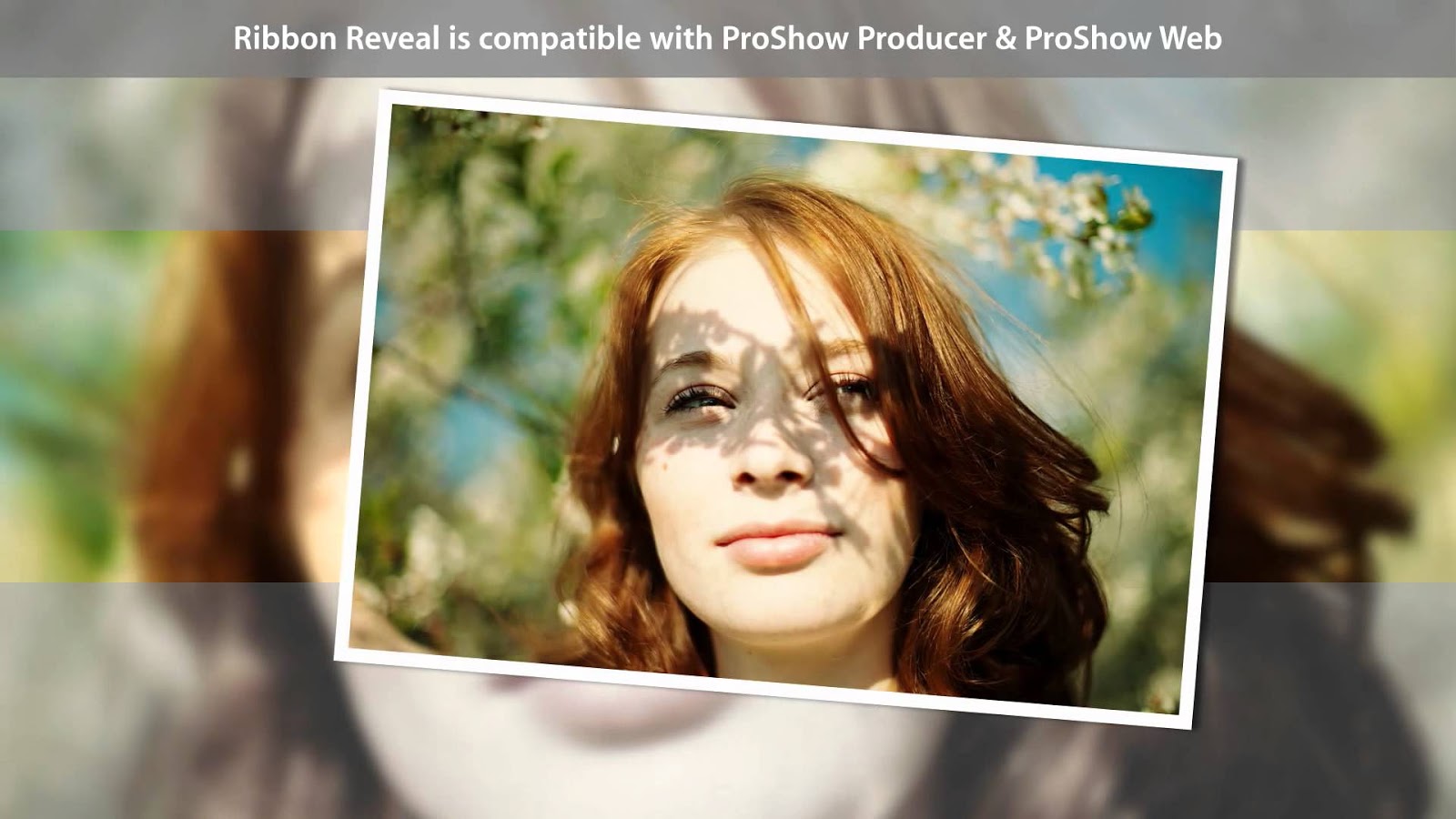 Ativador Proshow Producer 7