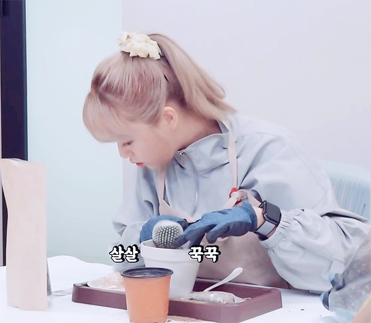 2719.gif